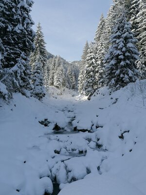 Wildschönau Auffach Aschbachtal.jpg | © Wildschönau Tourismus