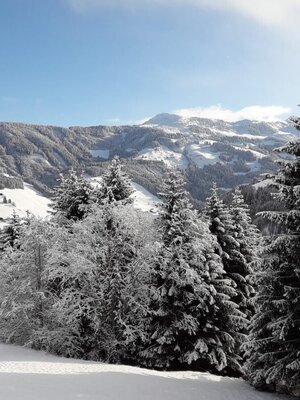 img-20201226-wa0001_-_kopie.jpg | © Wildschönau Tourismus