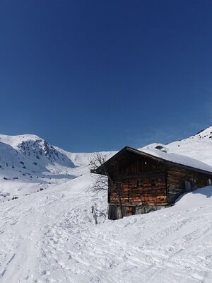 Wildschönau Gr Beil Gressensteinalm | © Wildschönau Tourismus