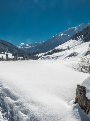 Schönanger Panorama2.jpg | © Wildschönau Tourismus