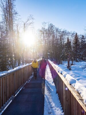 Winterwandern Wildschönau Tourismus FG H. Dabernig low (62).jpg | © Wildschönau Tourismus